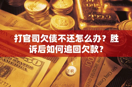 武汉打官司欠债不还怎么办？胜诉后如何追回欠款？