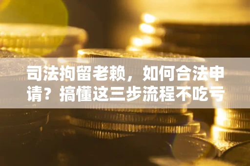 武汉司法拘留老赖，如何合法申请？搞懂这三步流程不吃亏！