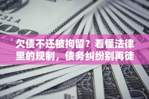 武汉欠债不还被拘留？看懂法律里的规制，债务纠纷别再徒劳奔波