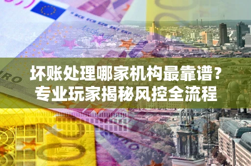 武汉坏账处理哪家机构最靠谱？专业玩家揭秘风控全流程