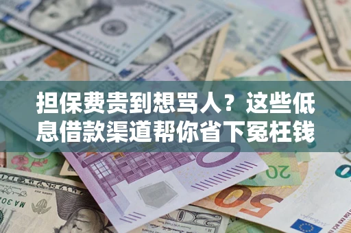 武汉担保费贵到想骂人？这些低息借款渠道帮你省下冤枉钱