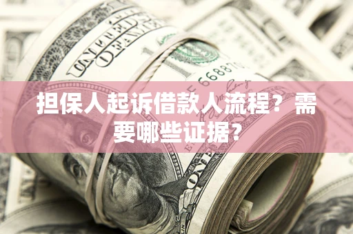 武汉担保人起诉借款人流程？需要哪些证据？