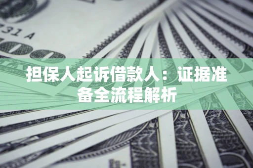 武汉担保人起诉借款人：证据准备全流程解析