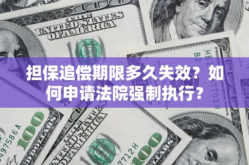 武汉担保追偿期限多久失效？如何申请法院强制执行？