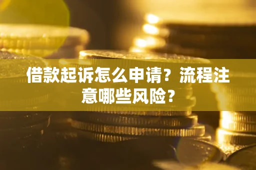 武汉借款起诉怎么申请？流程注意哪些风险？