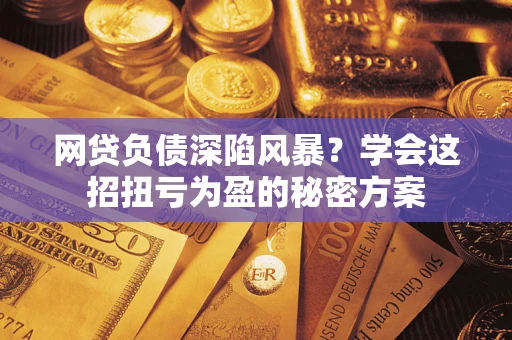 武汉网贷负债深陷风暴？学会这招扭亏为盈的秘密方案
