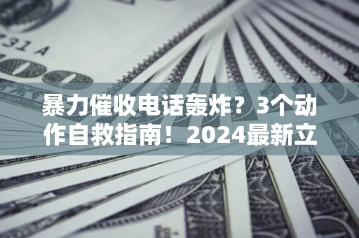 武汉暴力催收电话轰炸？3个动作自救指南！2024最新立案标准全解析