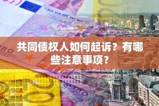 武汉共同债权人如何起诉？有哪些注意事项？